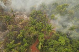 Incendios forestales en Bolivia afectando más de 3,3 millones de hectáreas