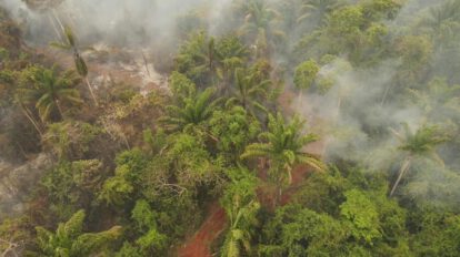 Incendios forestales en Bolivia afectando más de 3,3 millones de hectáreas