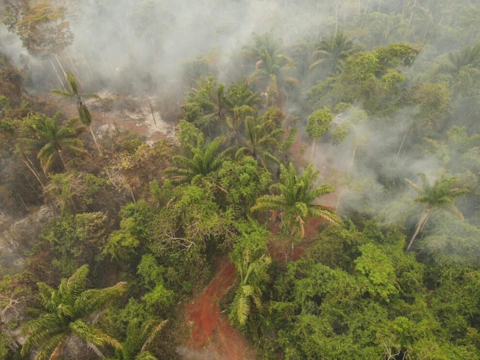 Incendios forestales en Bolivia afectando más de 3,3 millones de hectáreas