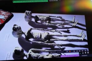 La vida extraterrestre sería más parecida a una ameba que a los 'aliens'