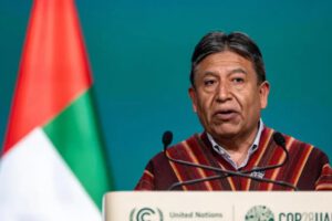 Vicepresidente de Bolivia en el Año Internacional de los Camélidos