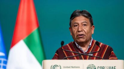 Vicepresidente de Bolivia en el Año Internacional de los Camélidos