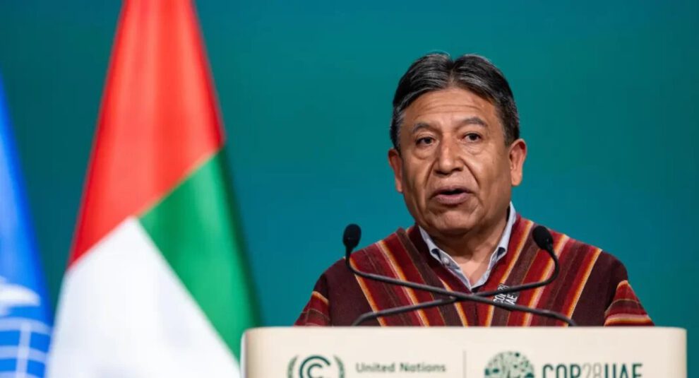 Vicepresidente de Bolivia en el Año Internacional de los Camélidos