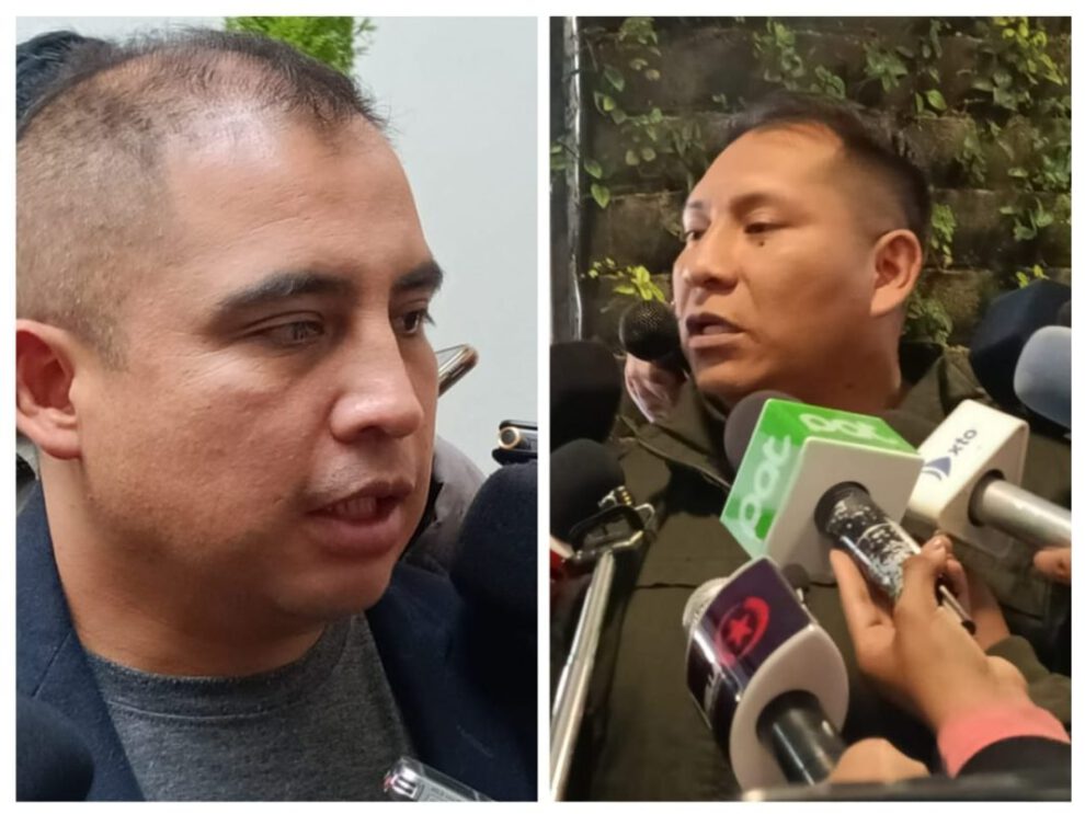 destitución del Ministro de Gobierno por ineficiencia y mala imagen al país