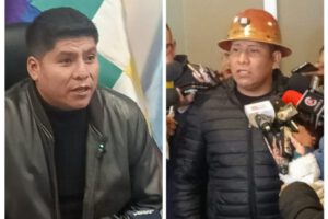 Fallo constitucional TSE en Ivirgarzama