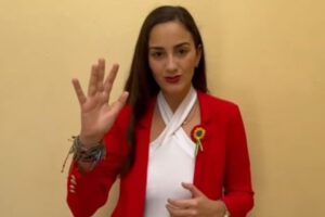 Asistencia de Arce a posesión de Milei