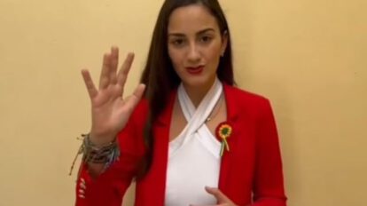 Asistencia de Arce a posesión de Milei