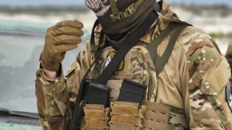 Apoyo militar occidental en la guerra de Ucrania