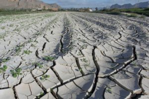 Aumento de incendios forestales en 2023