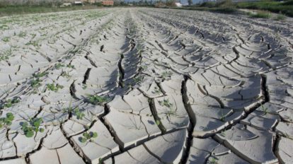 Aumento de incendios forestales en 2023