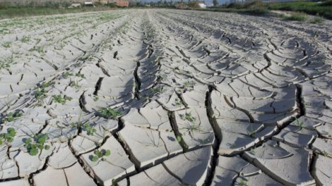 Aumento de incendios forestales en 2023