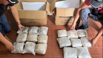 Incautación de marihuana en almacenes en Puerto Quijarro