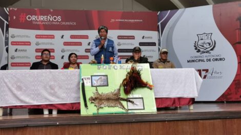 Prohibiciones en Carnaval de Oruro 2024 sobre fauna silvestre y uso de espumas