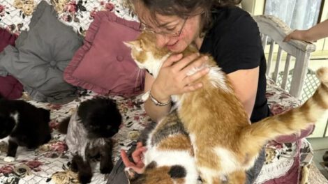 Rescate de animales en Ucrania por voluntarios