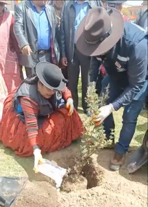 Forestación y reforestación en municipios de La Paz