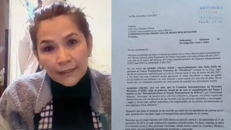 Investigación a Evo Morales solicitada por Añez a la CIDH