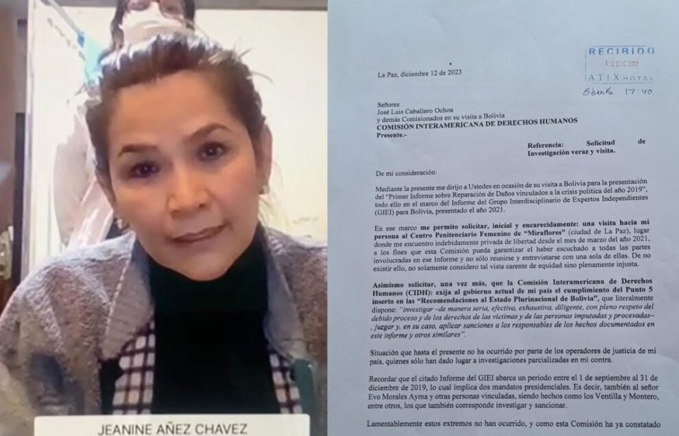 Investigación a Evo Morales solicitada por Añez a la CIDH