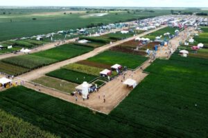 Producción agrícola en Santa Cruz