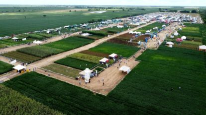 Producción agrícola en Santa Cruz