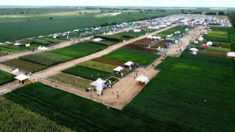 Producción agrícola en Santa Cruz