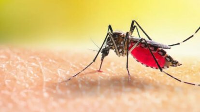 Epidemia de dengue en La Paz