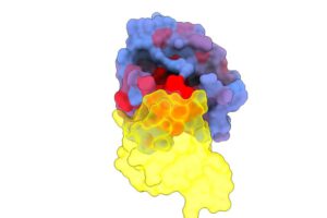 Inteligencia artificial en cáncer: estudio sobre la proteína KRAS