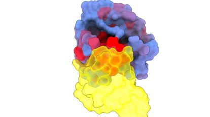Inteligencia artificial en cáncer: estudio sobre la proteína KRAS