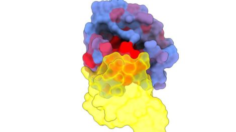 Inteligencia artificial en cáncer: estudio sobre la proteína KRAS