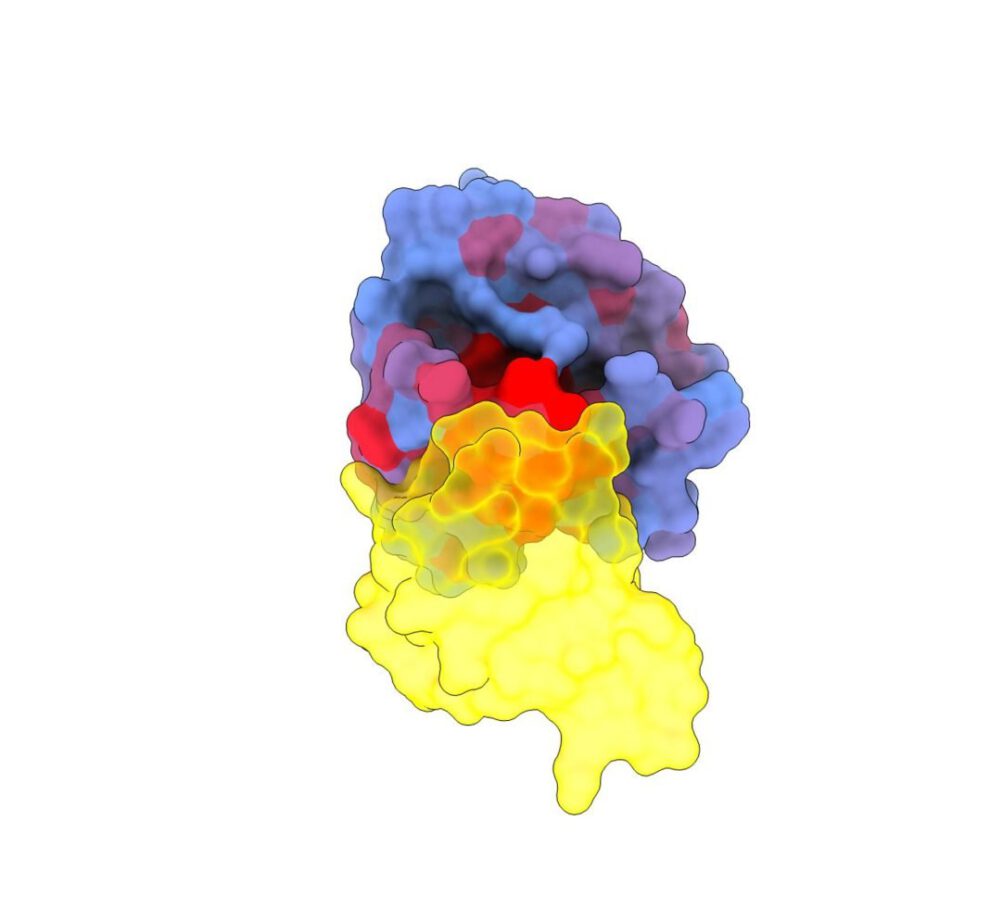 Inteligencia artificial en cáncer: estudio sobre la proteína KRAS