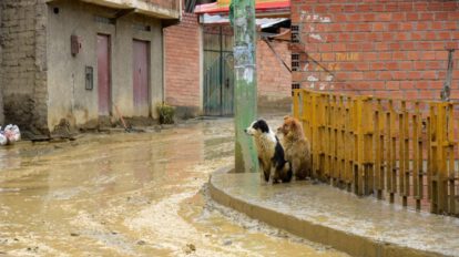 Familias damnificadas por lluvias en el país