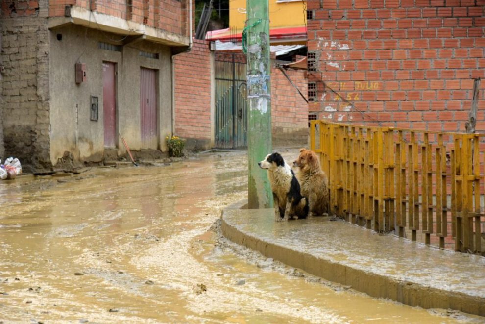 Familias damnificadas por lluvias en el país