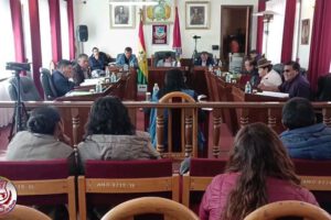 Informe sobre alimento complementario para la gestión 2024