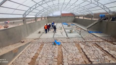 Centro de Producción de Forraje Verde Hidropónico en Pazña