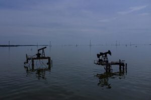Desechos contaminantes Lago Maracaibo extraídos por el Gobierno de Venezuela
