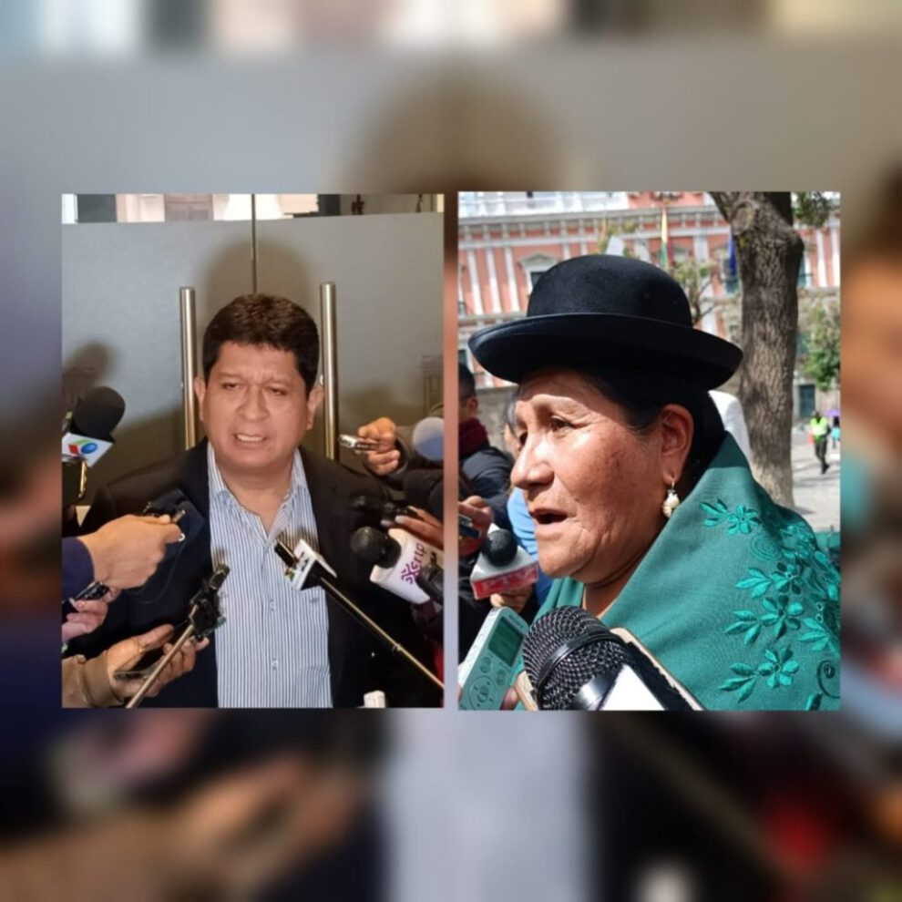 El senador oficialista Luis Adolfo Flores y la diputada María Alanoca discuten sobre elecciones judiciales 2024