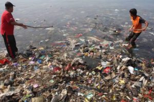 Crisis climática y ambiental