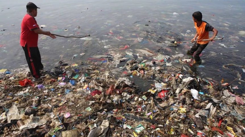 Crisis climática y ambiental