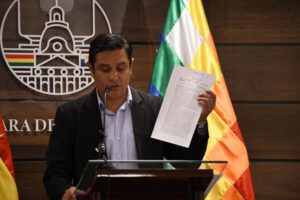 Cámara de Senadores devuelve recurso de nulidad al Tribunal Constitucional Plurinacional