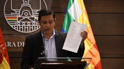 Cámara de Senadores devuelve recurso de nulidad al Tribunal Constitucional Plurinacional