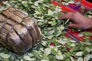 Día Nacional del Acullico en Bolivia
