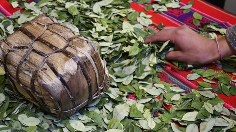 Día Nacional del Acullico en Bolivia