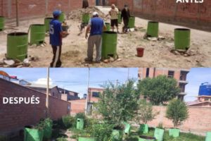 Reforestación en Santa Rosa: un ejemplo de conciencia ambiental