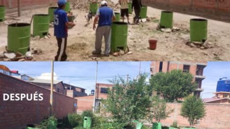 Reforestación en Santa Rosa: un ejemplo de conciencia ambiental