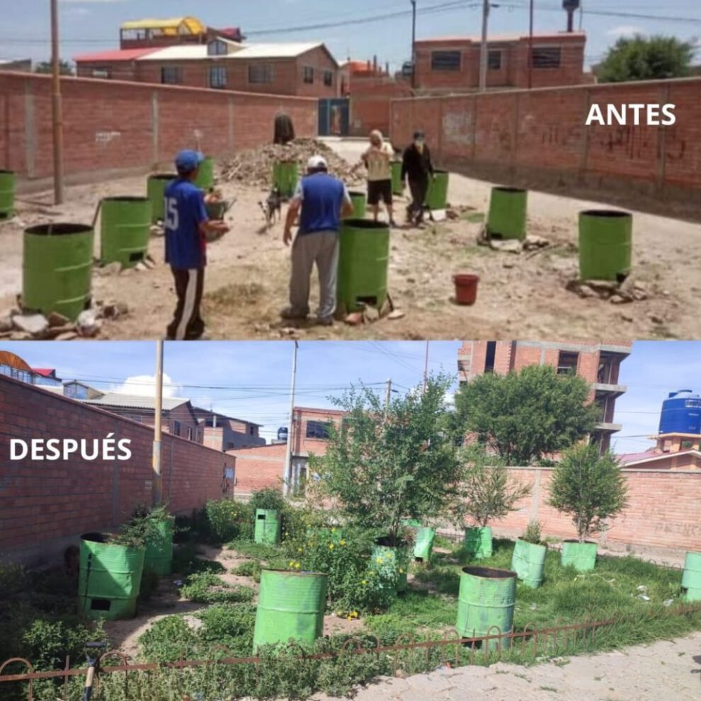 Reforestación en Santa Rosa: un ejemplo de conciencia ambiental