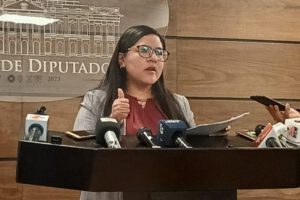 Proyecto de ley en Bolivia propuesto por Luisa Claros