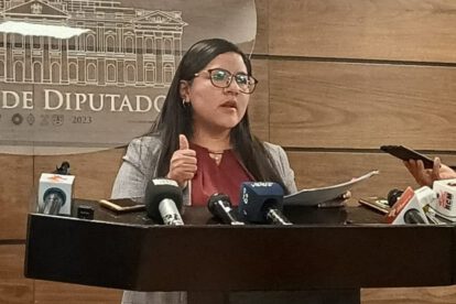 Proyecto de ley en Bolivia propuesto por Luisa Claros