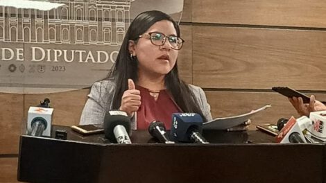 Proyecto de ley en Bolivia propuesto por Luisa Claros