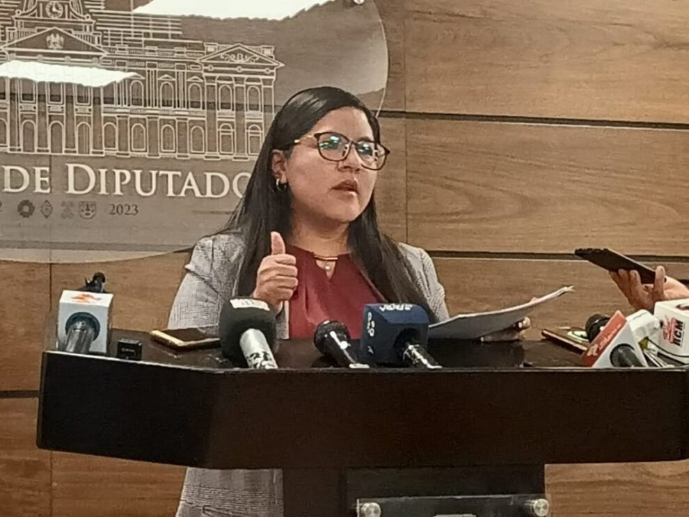 Proyecto de ley en Bolivia propuesto por Luisa Claros