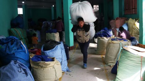 Erradicación de hoja de coca en Bolivia