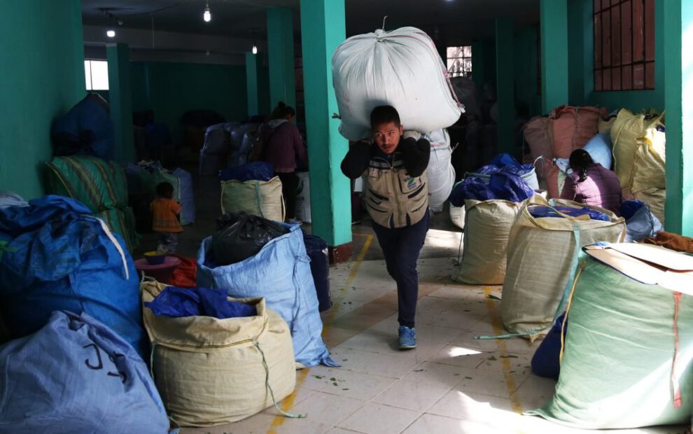 Erradicación de hoja de coca en Bolivia